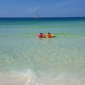 Meet your Posher, Diane